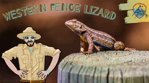 How the Magical Vehicle Lizard is Making Learning Exciting Again